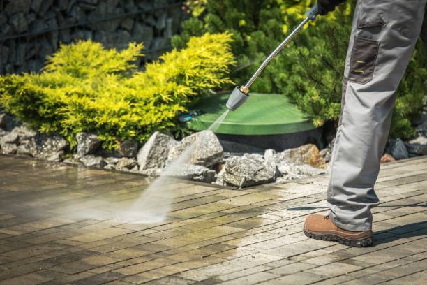 Best Pool Deck Cleaning  in Alexandria, IN