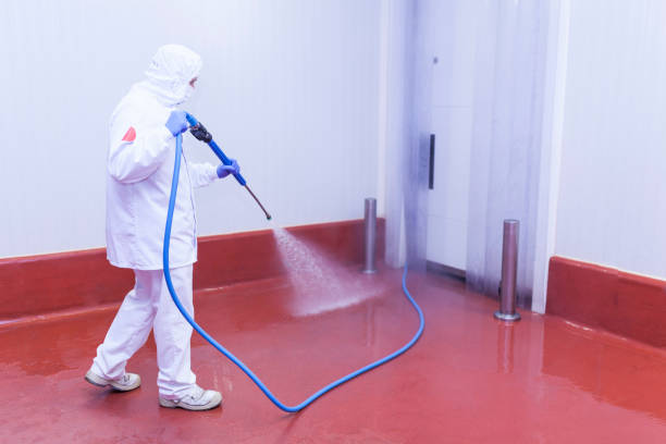 Best Patio and Deck Pressure Washing  in Alexandria, IN