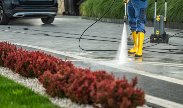 Best Roof Washing  in Alexandria, IN